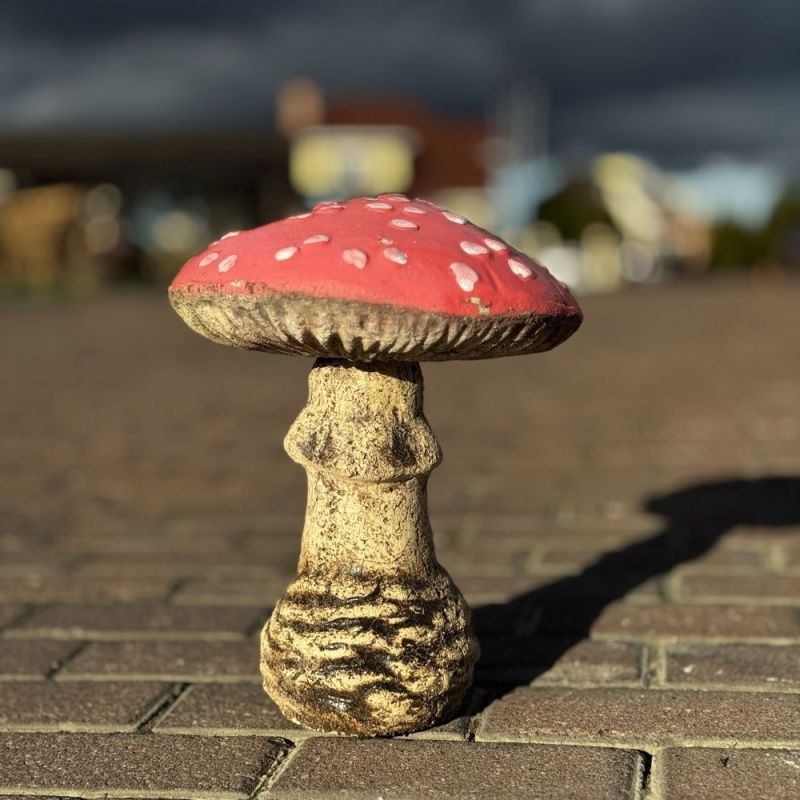 Гриб мухомор №2