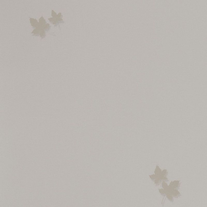 54384-1 Andrea Rossi Spectrum PRO 1,06 х 10,05