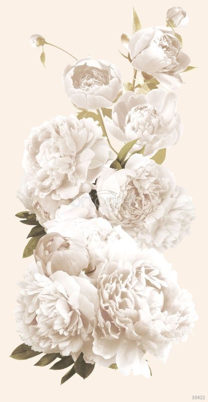 Фреска Кремовые пионы Art.33422