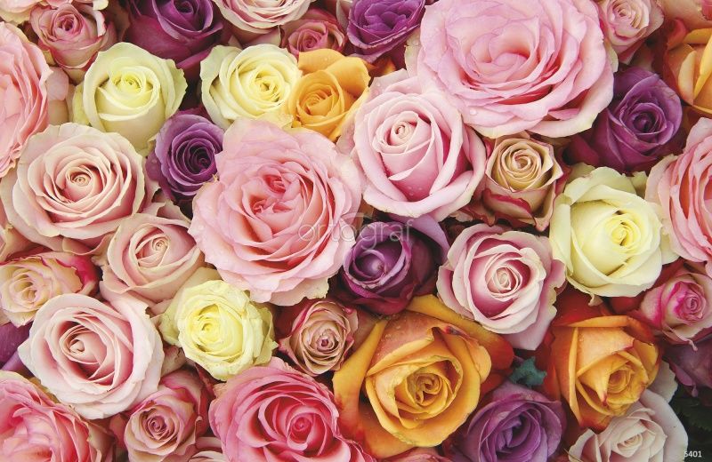 Фреска Свадебные розы Art.5401