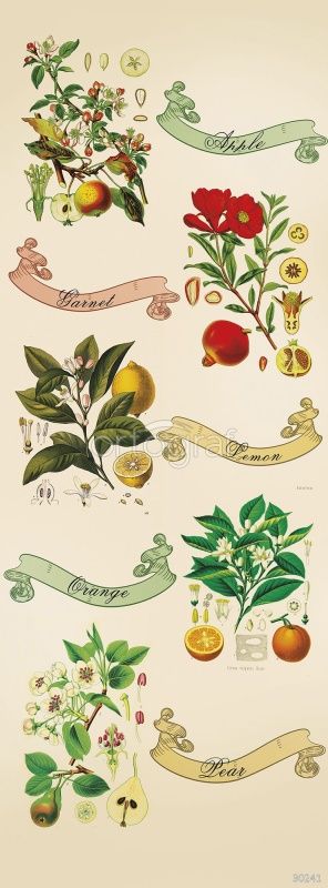 Фреска Цветы и фрукты Art.30241