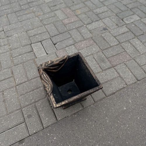 Вазон Медуза