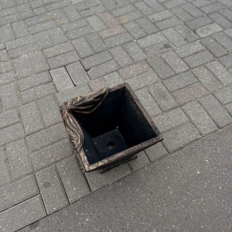 Вазон Медуза