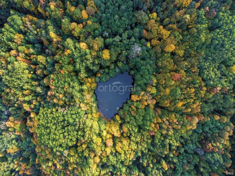 Фреска Озеро с высоты птичьего полета Art.30923