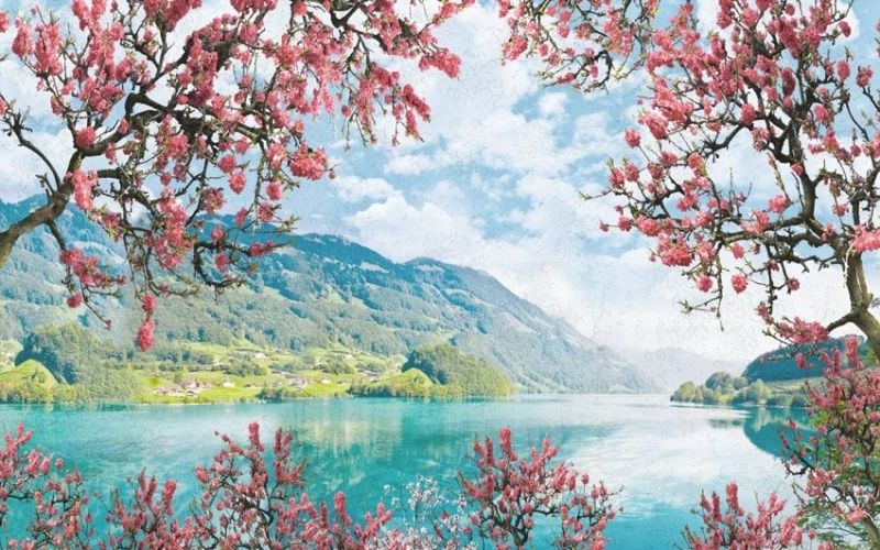 Фреска Современный Графический Дизайн 9101