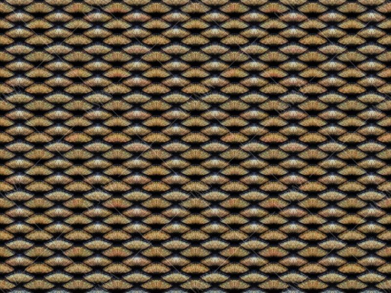 Фреска ALBA Textures арт. 800362