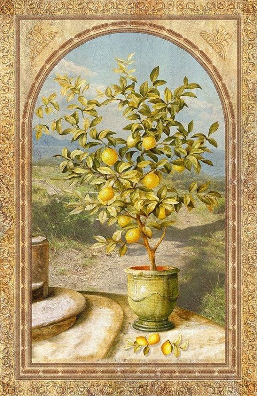Фреска Лимонное дерево в горшке