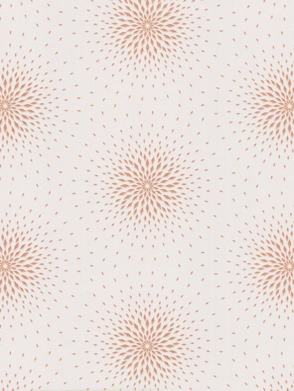 54358-3 Andrea Rossi Spectrum max 1,06 x 10,05