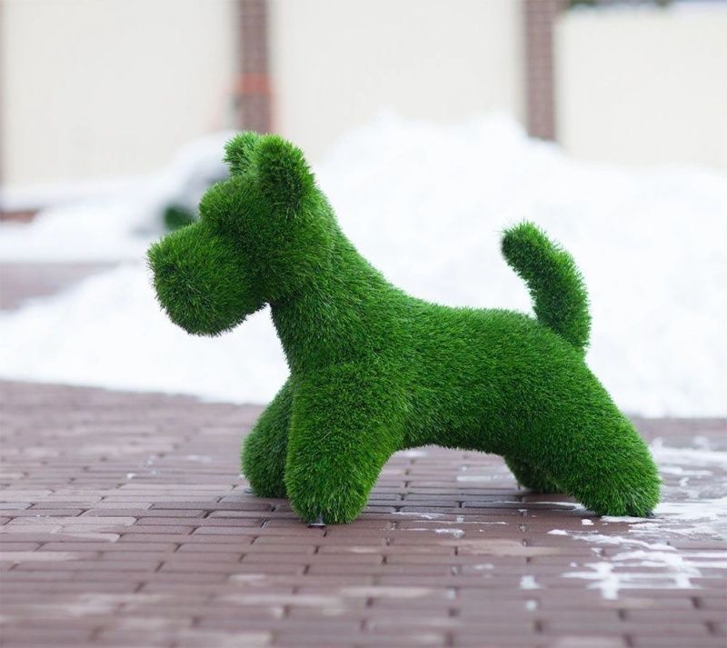 Собач Норвич терьер 58*86*50