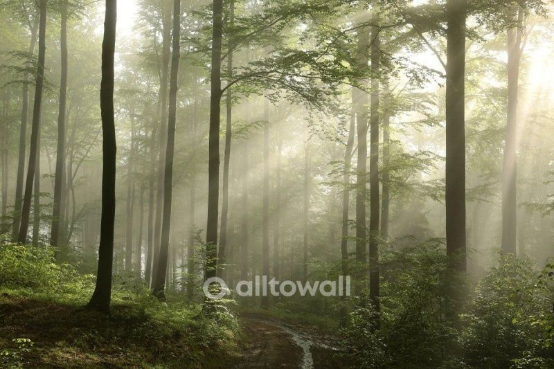 Фреска В лучах солнца