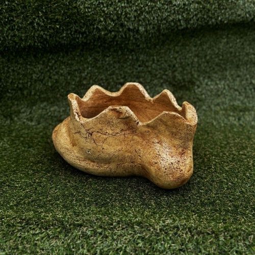 "Ракушка" малая