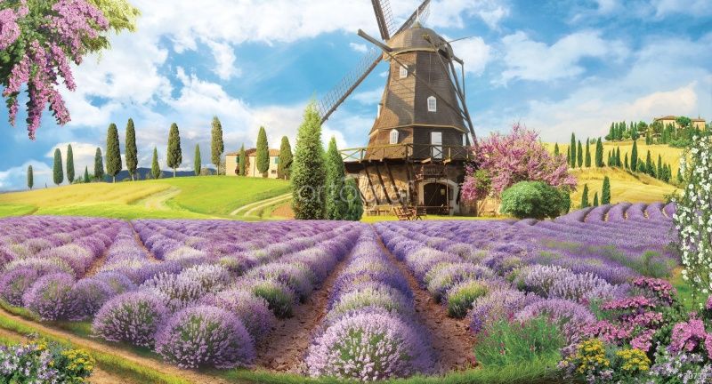 Фреска Мельница на цветочном поле Art.30733