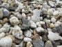 Черно-белая галька 5-20