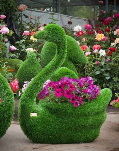 Топиари Лебель с кашпо Распродажа