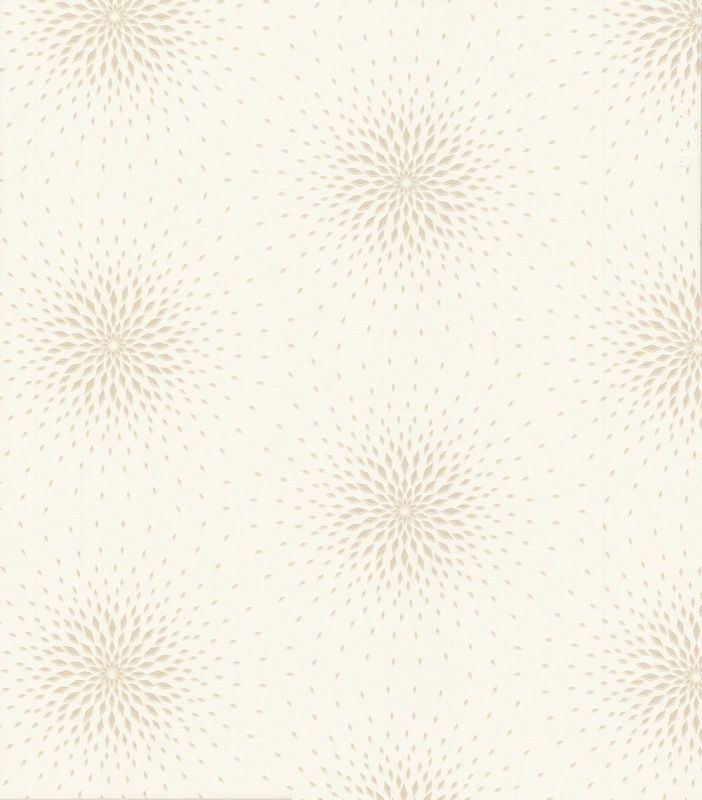 54358-2 Andrea Rossi Spectrum max 1,06 x 10,05