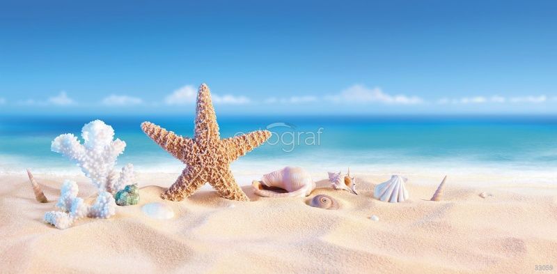 Фреска Морская звезда Art.33059