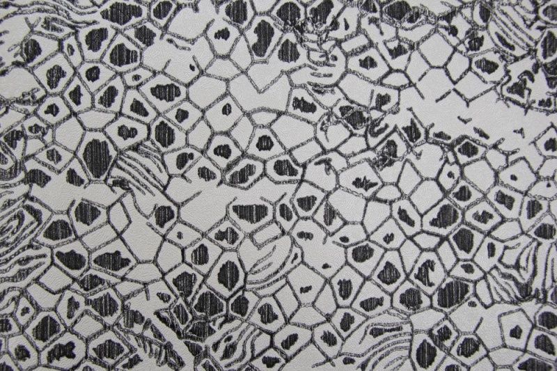 Виниловые обои Roberto Cavalli 8 1.06 RC19035