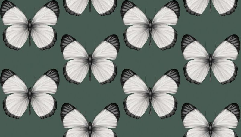 54401-5 Andrea Rossi Cheradi 1,06 x 10,05