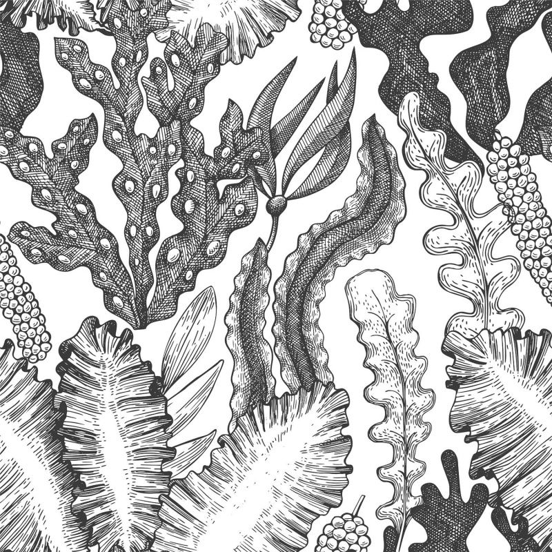 Фреска Best Photo Bank 1964094316