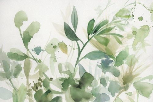 Фреска Акварельный гербарий-2