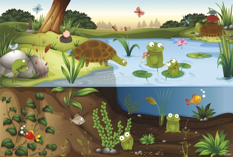 Фреска Сказочный прудик Art.30067