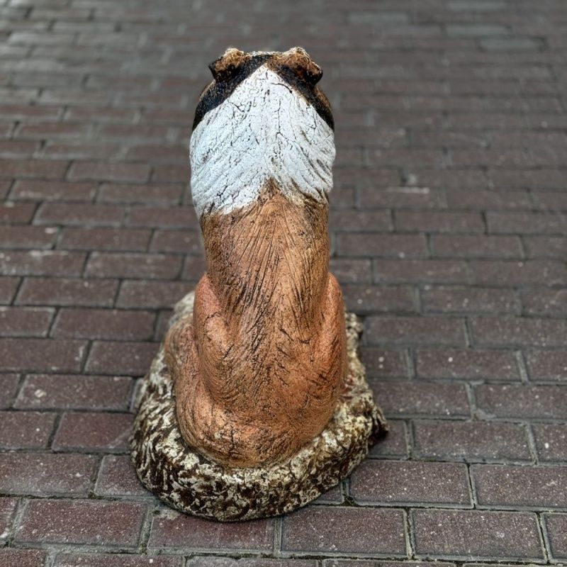 Собака Колли цветная