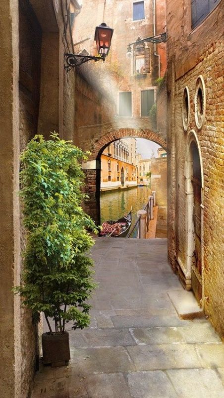 Фреска Современный Графический Дизайн 4217