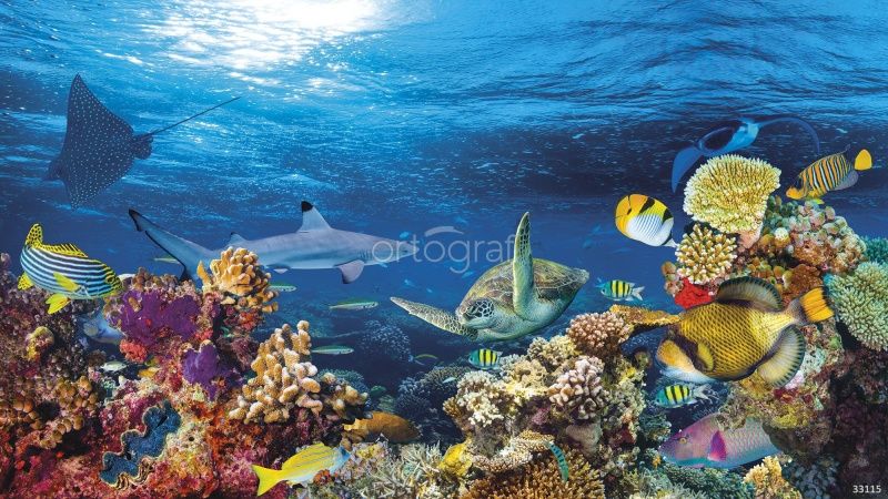 Фреска Обитатели дна Art.33115