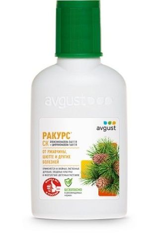 Ракурс 48 мл