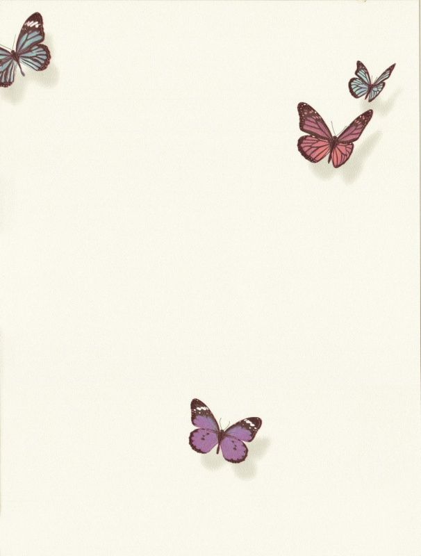 54363-2 Andrea Rossi Spectrum max 1,06 x 10,05