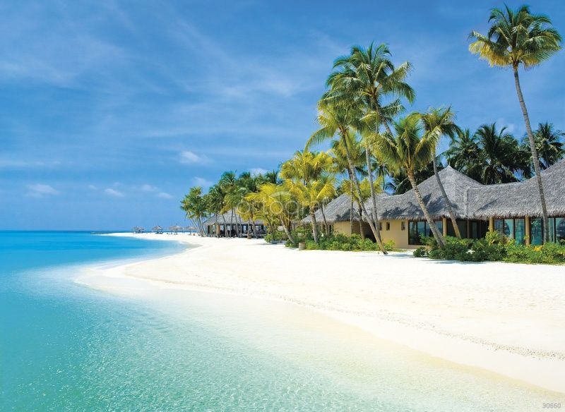 Фреска Лагуна Фламенко Art.30660