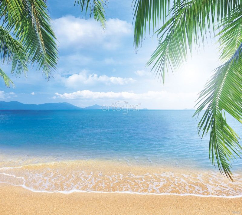 Фреска Тропический пейзаж Art.33612