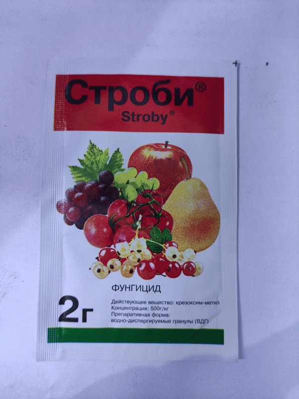 Строби 2 гр