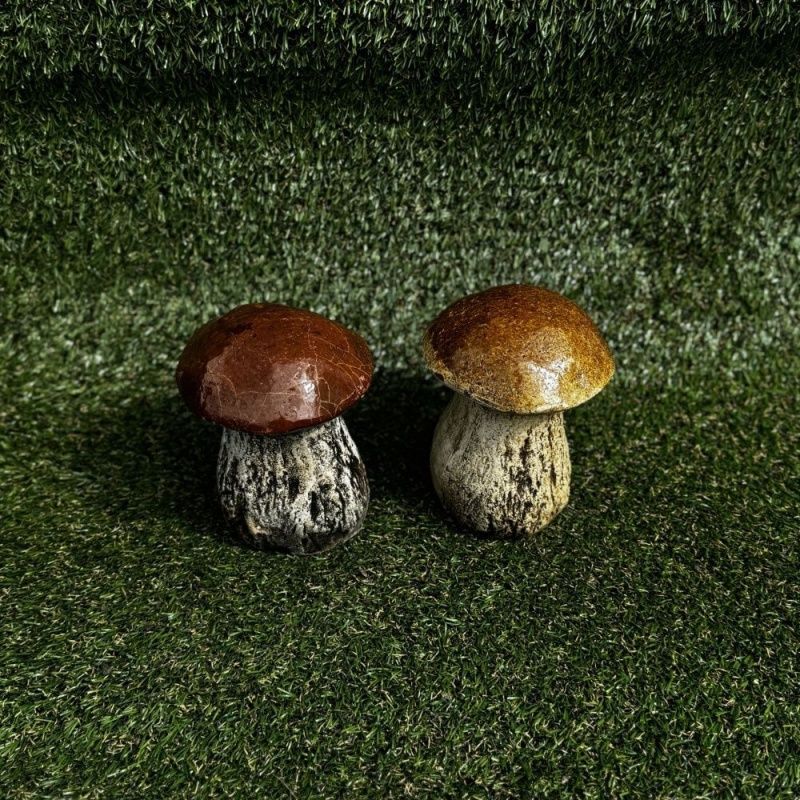 Гриб белый № 5