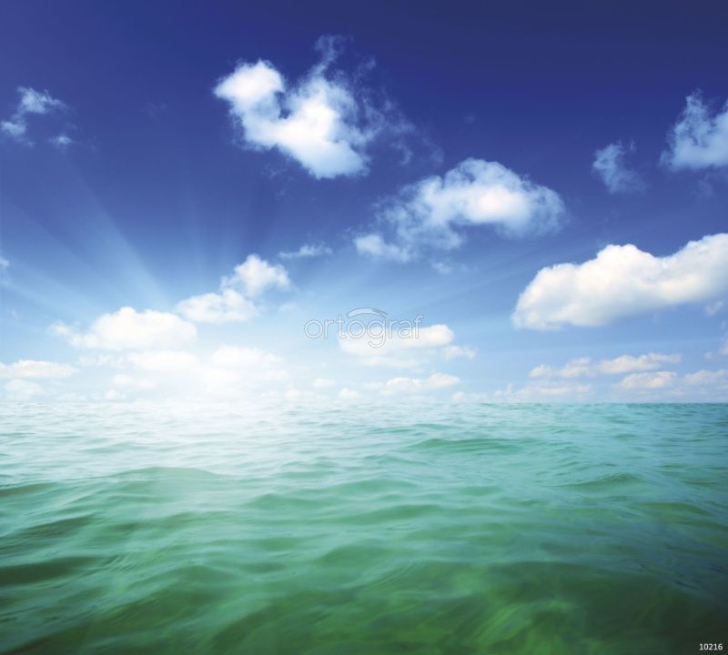 Фреска Море Art.10216