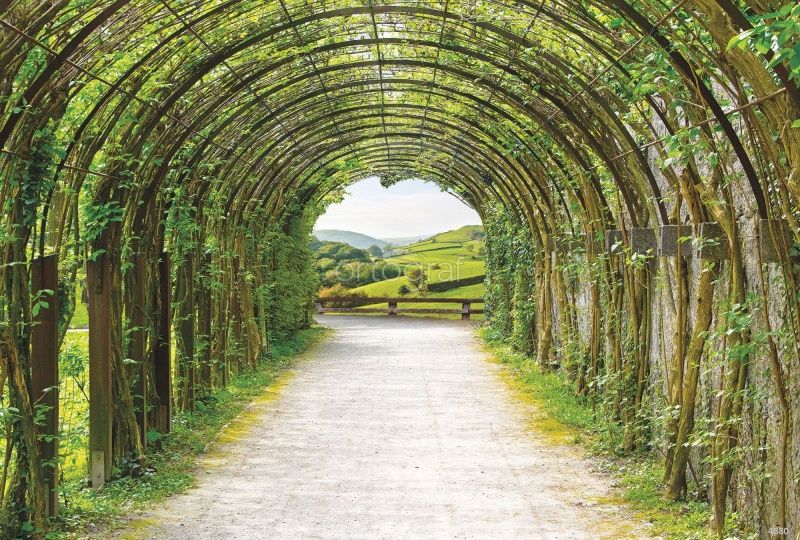 Фреска Зеленая пергола Art.4880