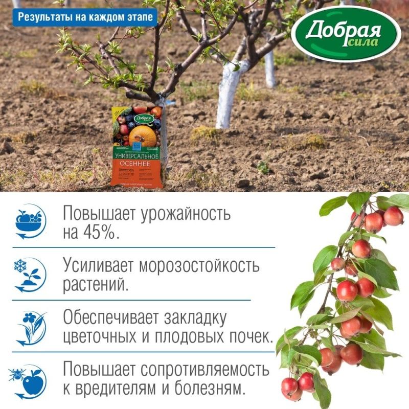 Добрая сила Сухое удобрение Универсальное осеннее, пакет 0,9 кг/ 12