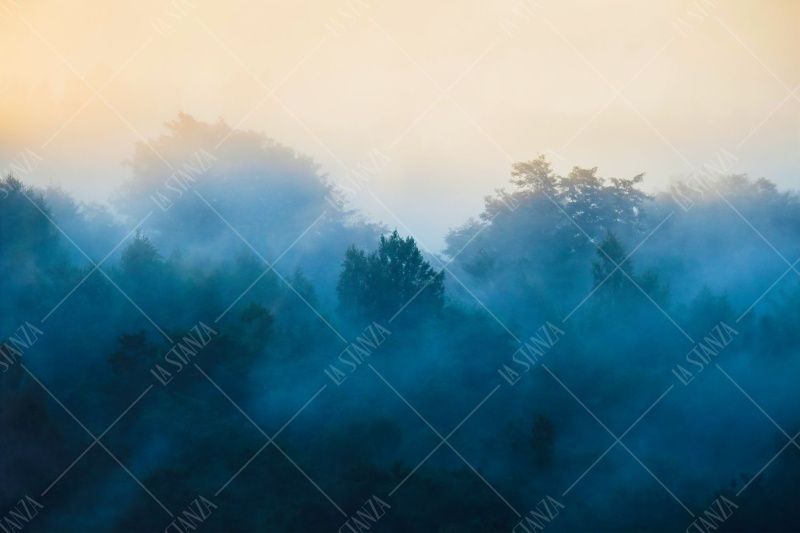 Фреска ALBA Natura арт. 800177