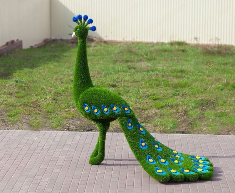 Павлин (Жар-птица) распродажа