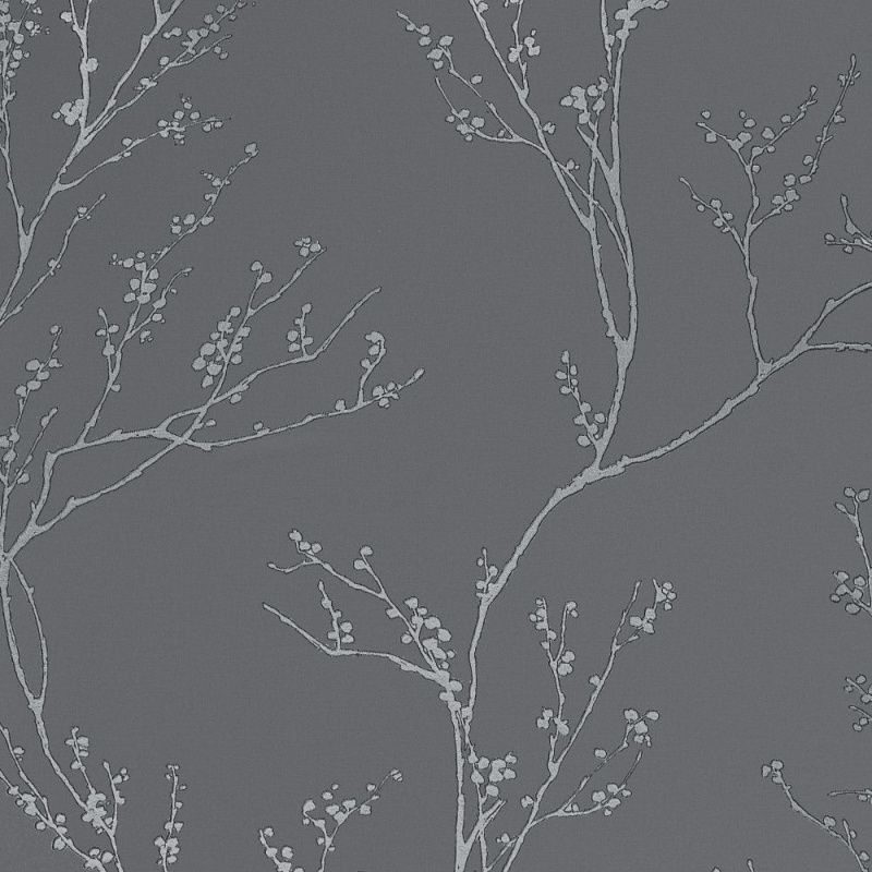 54386-3 Andrea Rossi Spectrum PRO 1,06 х 10,05