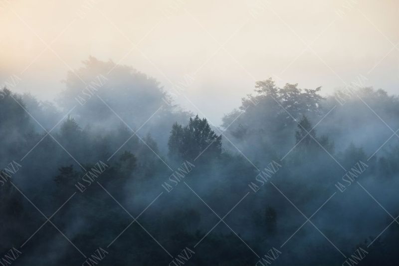 Фреска ALBA Natura арт. 800178