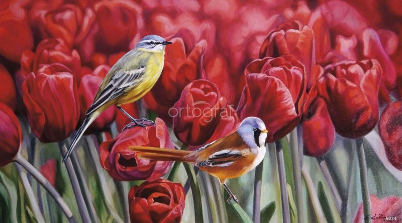 Фреска Тюльпановый дуэт Art.8224