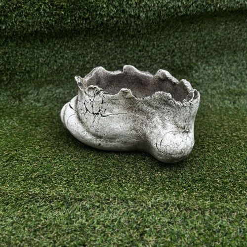 "Ракушка" малая