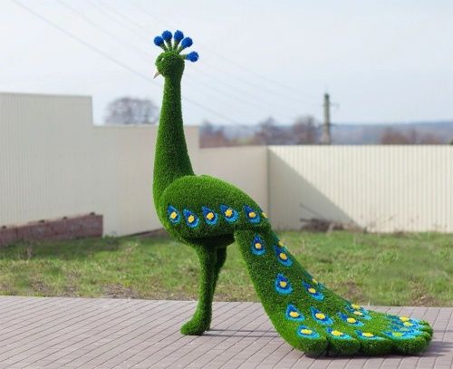 Павлин (Жар-птица) распродажа