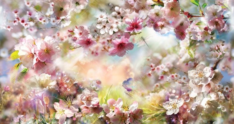 Фреска Панно цветущая яблоня, вишня, сакура