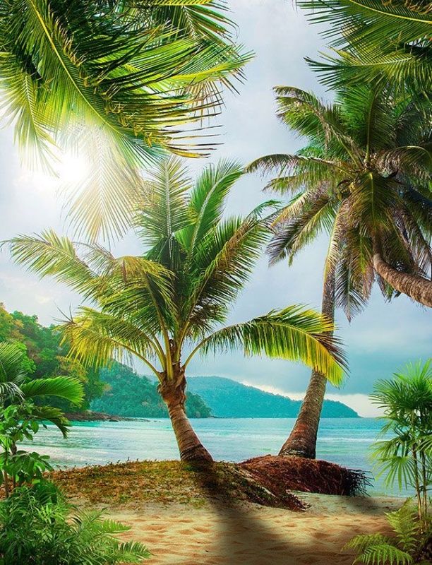 Фреска Пейзажи Пляжи и пальмы арт. a_685