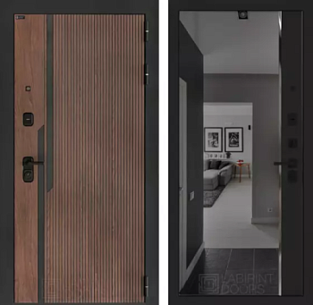 Входная дверь Кармина с зеркалом Панорама с тонировкой