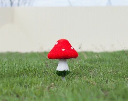 Мухомор распродажа