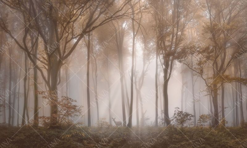 Фреска ALBA Natura арт. 800173