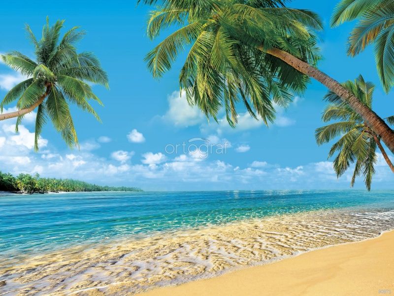 Фреска Тропический рай Art.30971